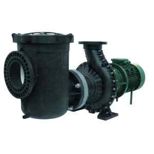 Bombas para piscinas publicas Serie F-GREAT GIANT. PSH