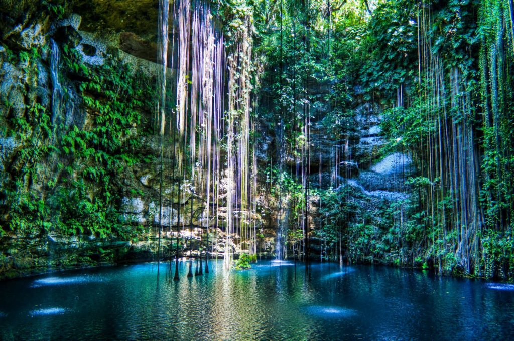 Cenote-portada-alasviajeras-1024x680-1 | PisciManía