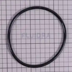 clorador-salino-gre-swc-conectado-todo-en-uno-ph-4 | PisciManía Black rubber O-ring ring on graph paper background (grid lines visible)