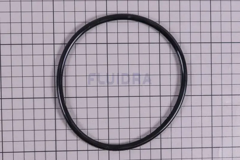 clorador-salino-gre-swc-conectado-todo-en-uno-ph-4 | PisciManía Black rubber O-ring ring on graph paper background (grid lines visible)