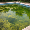 piscina con algas